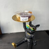 Briss Labo - 