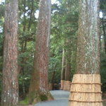 木つつ木茶屋 - パワースポットですよん☆