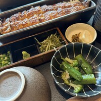 うなぎ四代目 菊川 - 