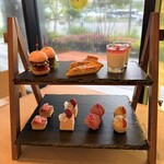 SAUS - 