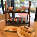 SAUS - 