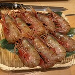 鮨 匠海 - 