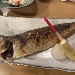 季と鰭 - 