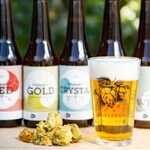 HOPJAPAN - 