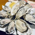 パッパトリア - 産地別生牡蠣