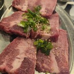ライオンホルモン - 