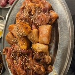 ライオンホルモン - 