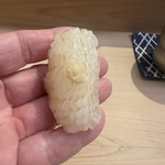 匠 鮨 おわな - イカ