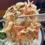 さか枝うどん - 