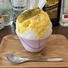 ツキトクルミ - 