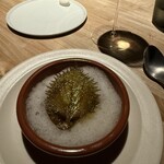 レスピラシオン - 