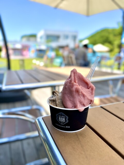 GELATO808 （ジェラートヤオヤ） - 本厚木/ジェラート・アイスクリーム