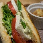 マカロニ - カプレーゼのパニーニを立ててみました