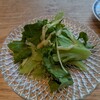 ブリル飯店 - グリーンサラダ