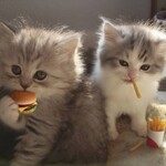 モスバーガー - 