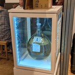 山虎 - 