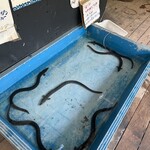 自然の森フィッシングリゾート - 