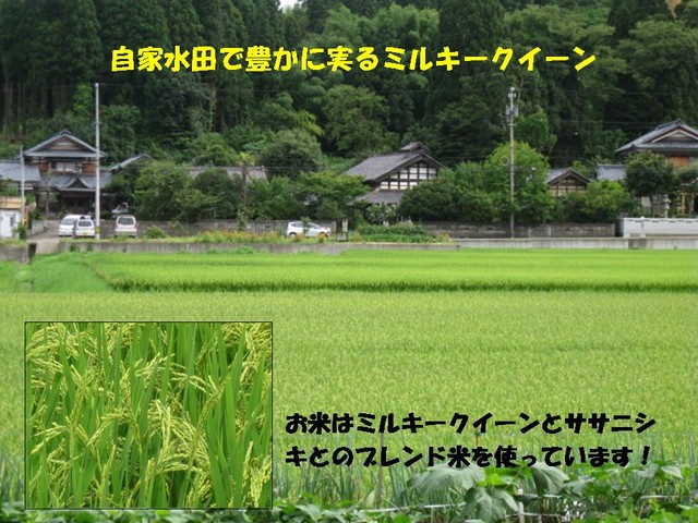 塩釜あがらいん - 本塩釜（海鮮丼）の写真