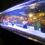 プチプレリ - お店のドアを開けると可愛いお魚たちがお出迎え！