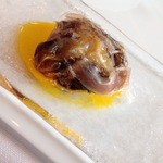 サーラ アマービレ - 