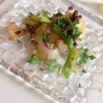 サーラ アマービレ - 