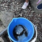 清流あまごセンター - 