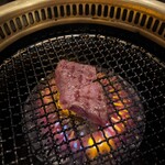SATOブリアン - 