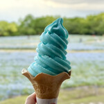 展望台 - ネモフィラソフトクリーム（税込450円）
