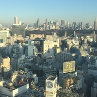 日本料理 旬彩 - 
