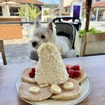 Eggs 'n Things - 