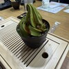 SAHANJI アリオ蘇我店