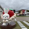 出雲ICHIGO縁 - 