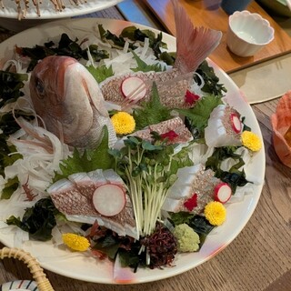彩つむぎ_0