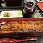 一本鰻 藤 - 