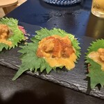 オイスター&スモークドバーサンゴ - 