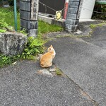 ATAGO BASE - 山を降りると猫さんが出迎え