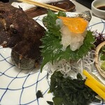 魚将　さかなちゃん - ゾウリエビ