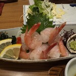 魚将　さかなちゃん - タカエビ