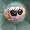 .donut - 