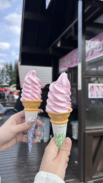 芝ざくらソフトクリーム - 滝上町その他/ソフトクリーム | 食べログ