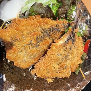山陰ゆかりのあじ 郷音_0