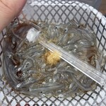 とびっちょ - 料理写真: