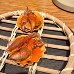 arkua - 