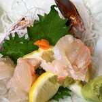 しらすと伊勢海老の 忠兵衛 - 