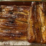 うなぎ 桜家 - 