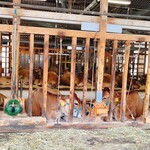 いでぼく　ミルクハウス - 