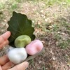 銀座甘楽 - 料理写真: