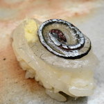 鮨おおしお  - さより