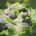 Hokuriku Shunsen Kitano Shun - 海鮮サラダ