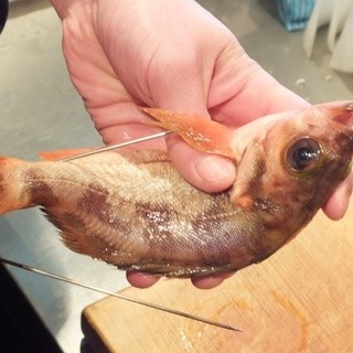 季節の魚を「一本焼き・一本煮付け」でどうぞ